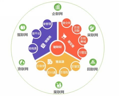 平安互聯網創建項目 打造安全、便捷、高效的個人互聯網服務新生態