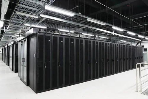 石家莊企業(yè)榮膺全國數(shù)字化轉(zhuǎn)型伙伴行動首批倡議方，數(shù)據(jù)處理服務(wù)成關(guān)鍵引擎